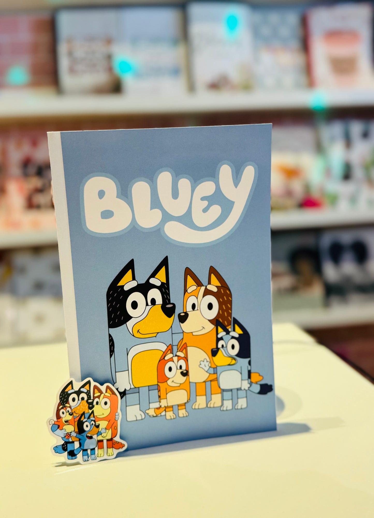 Bluey Journal and Sticker Set