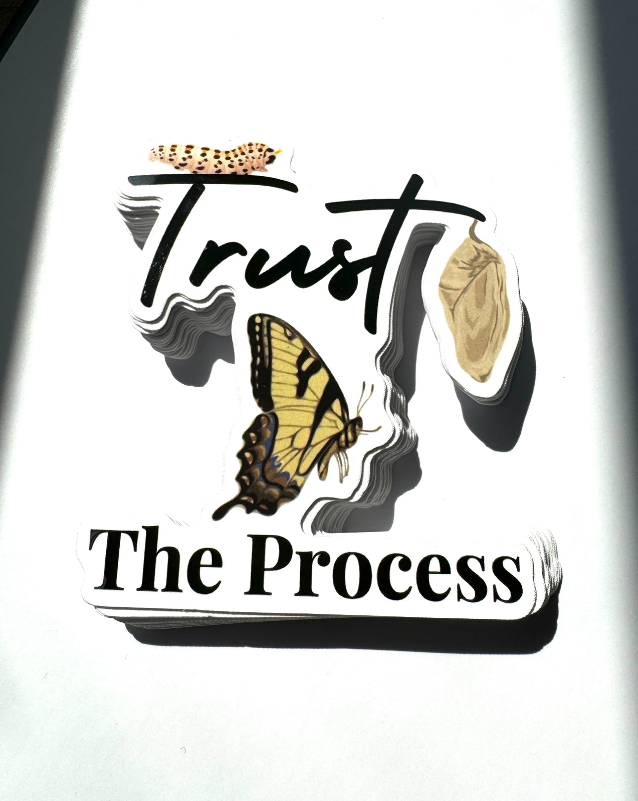 Trust The Process Motivational Sticker