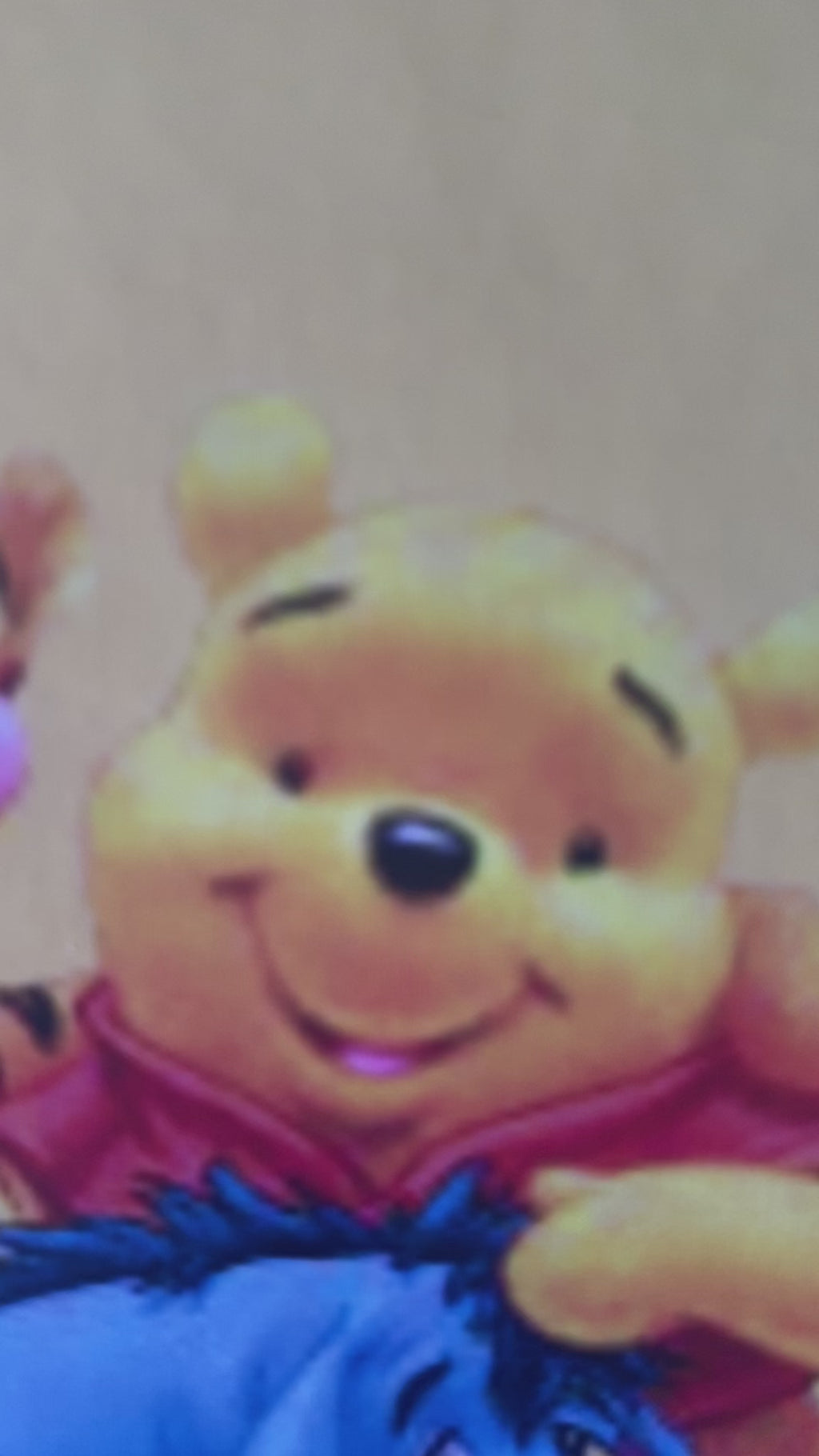 Winnie The Pooh Bear Hardcover Journal Matte