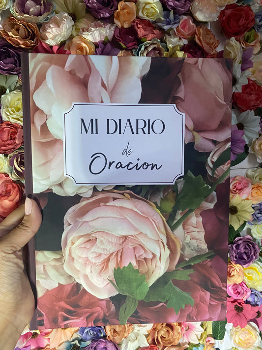 Mi Diario De Oración Para Mujeres ( Spanish Edition) (Hardcover)